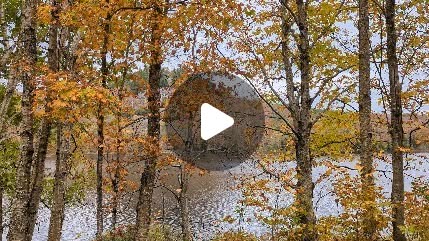 I missed the fall colours
