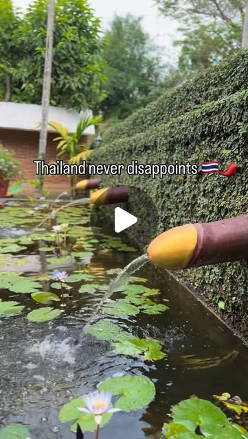 Visiting the Erotic Garden and Tea House