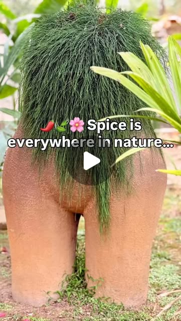 The Erotic Garden in Chiang Mai