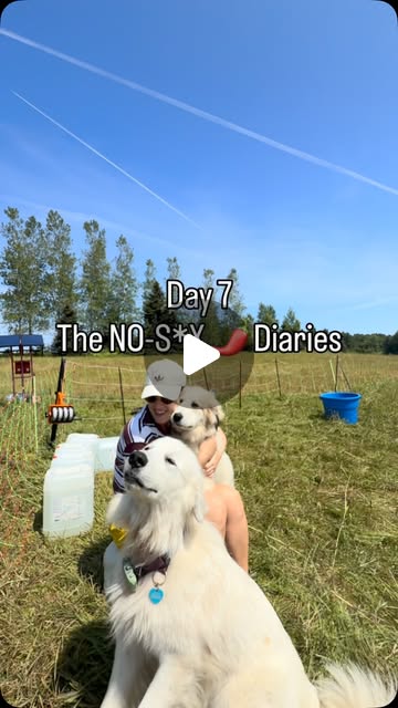 The No-S*x Diaries, day 7: puppies